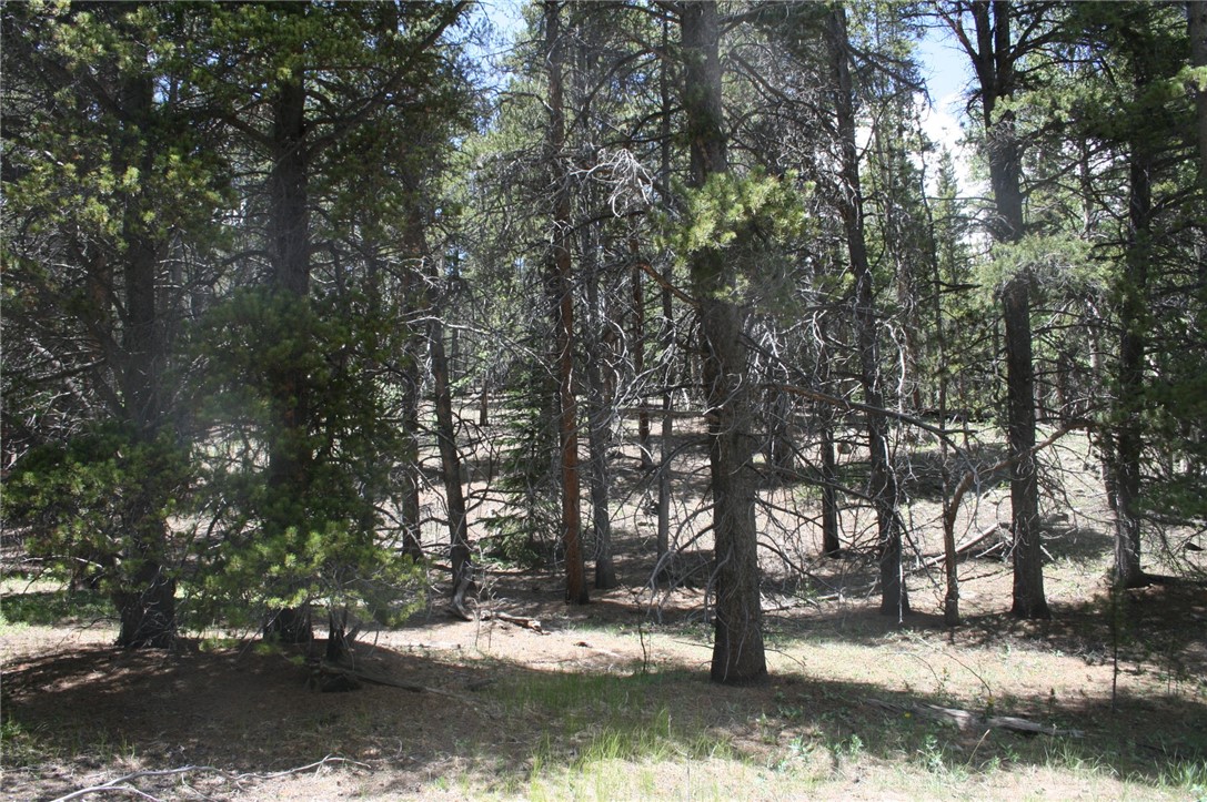 762 Venture Road Fairplay, CO 80440 - Photo 7 of 11 Gallery Image 7