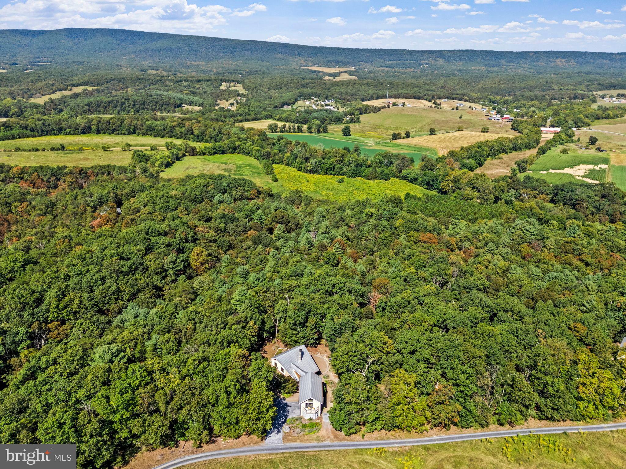 79 Marigold Way Gerrardstown, WV 25420 - Photo 135 of 140 Secluded home embraced by lush greenery.