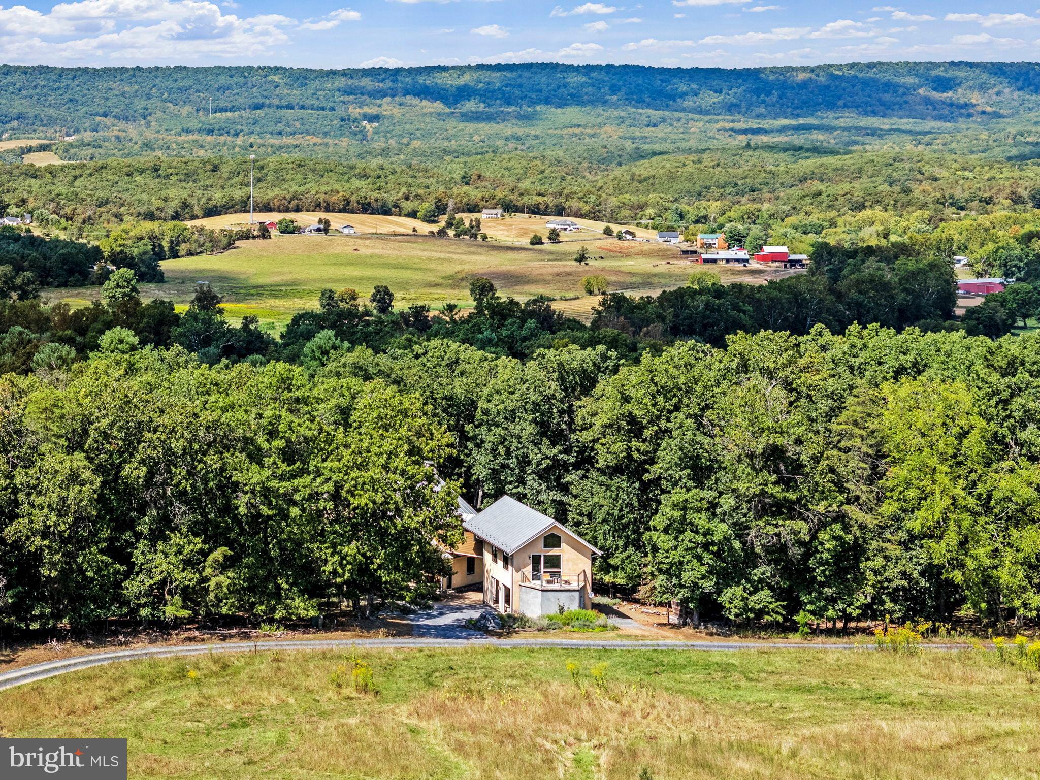 79 Marigold Way Gerrardstown, WV 25420 - Photo 136 of 140 Serene retreat amidst lush greenery.