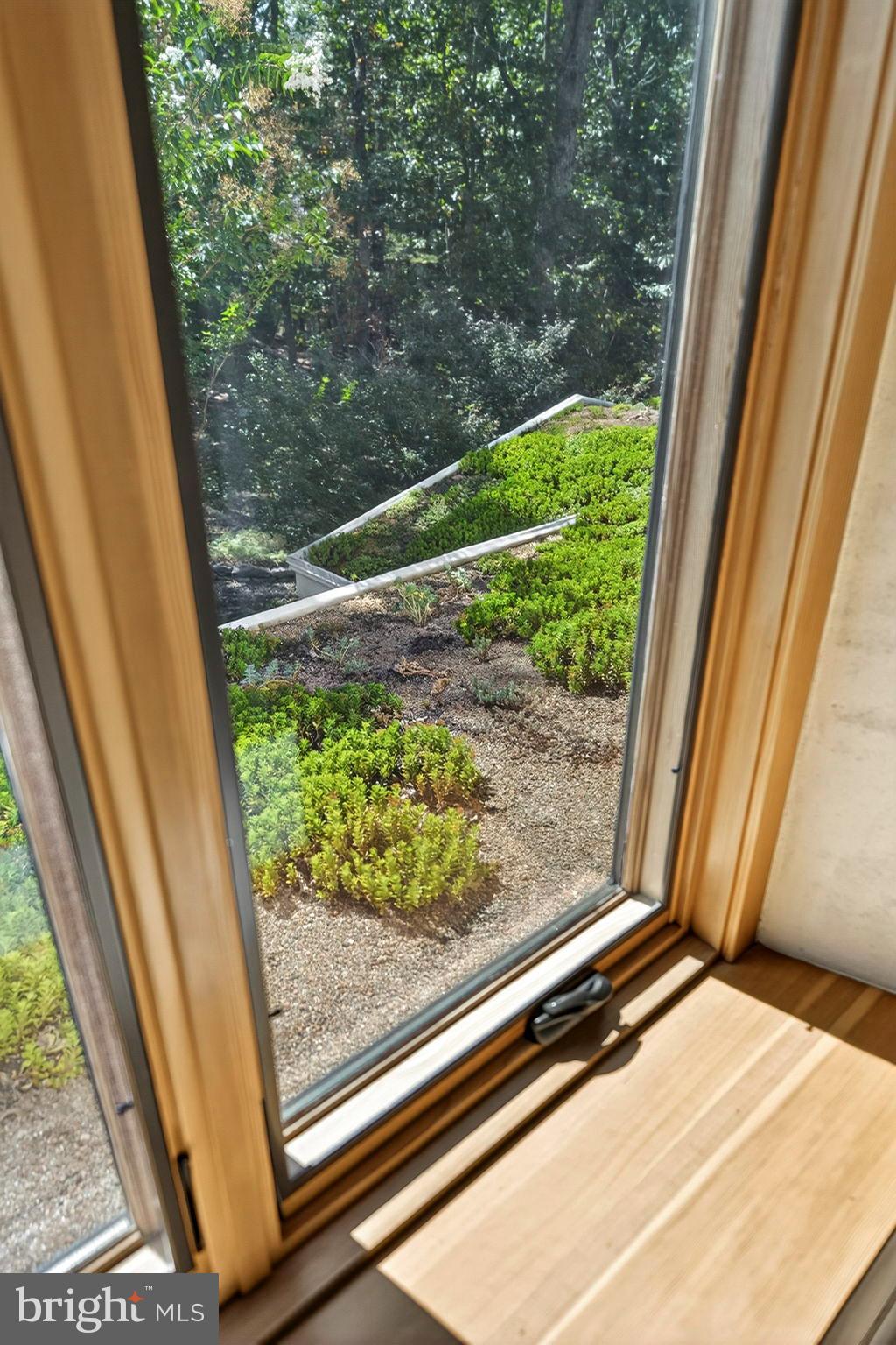 79 Marigold Way Gerrardstown, WV 25420 - Photo 81 of 140 a view from window