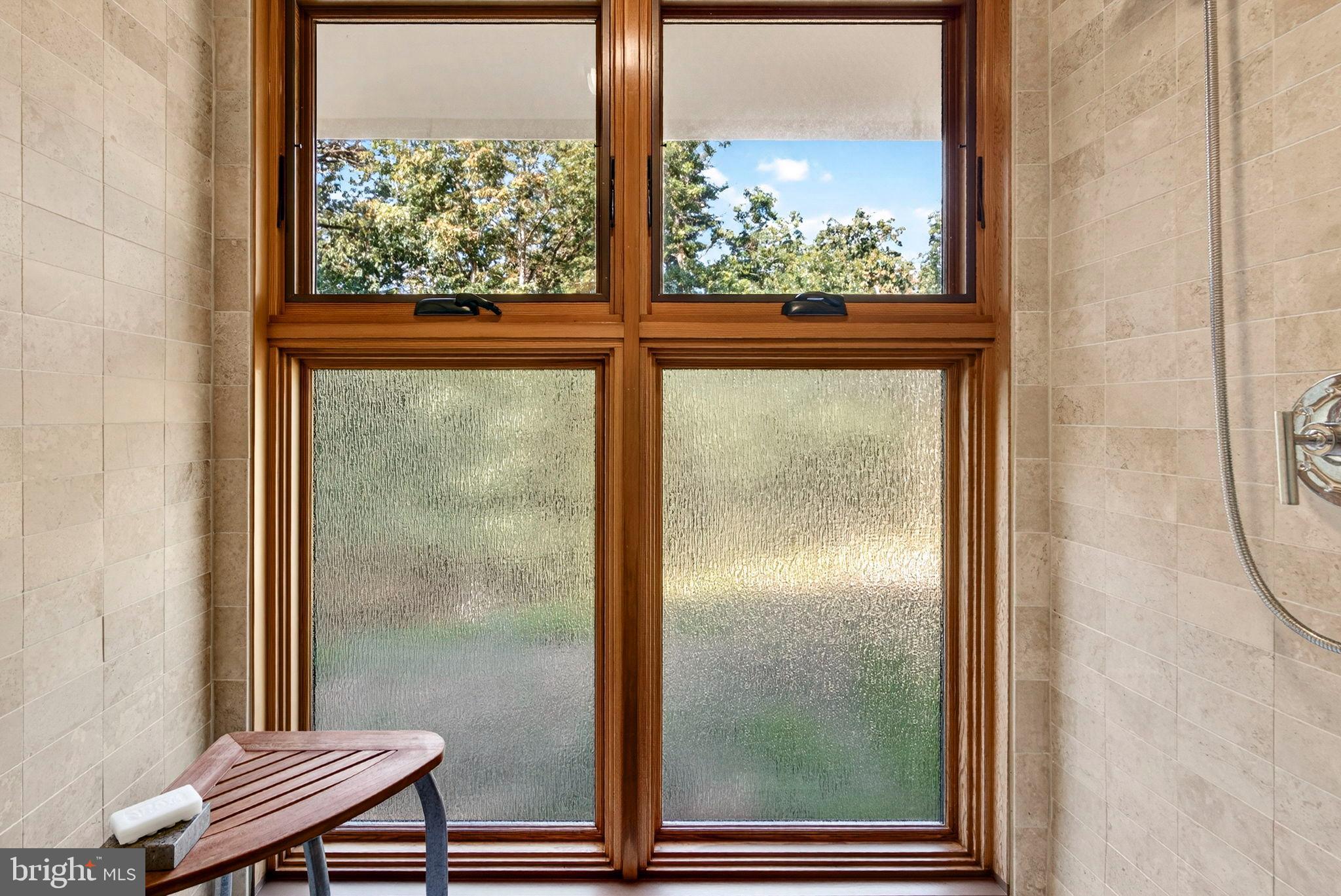 79 Marigold Way Gerrardstown, WV 25420 - Photo 90 of 140 Walk in shower