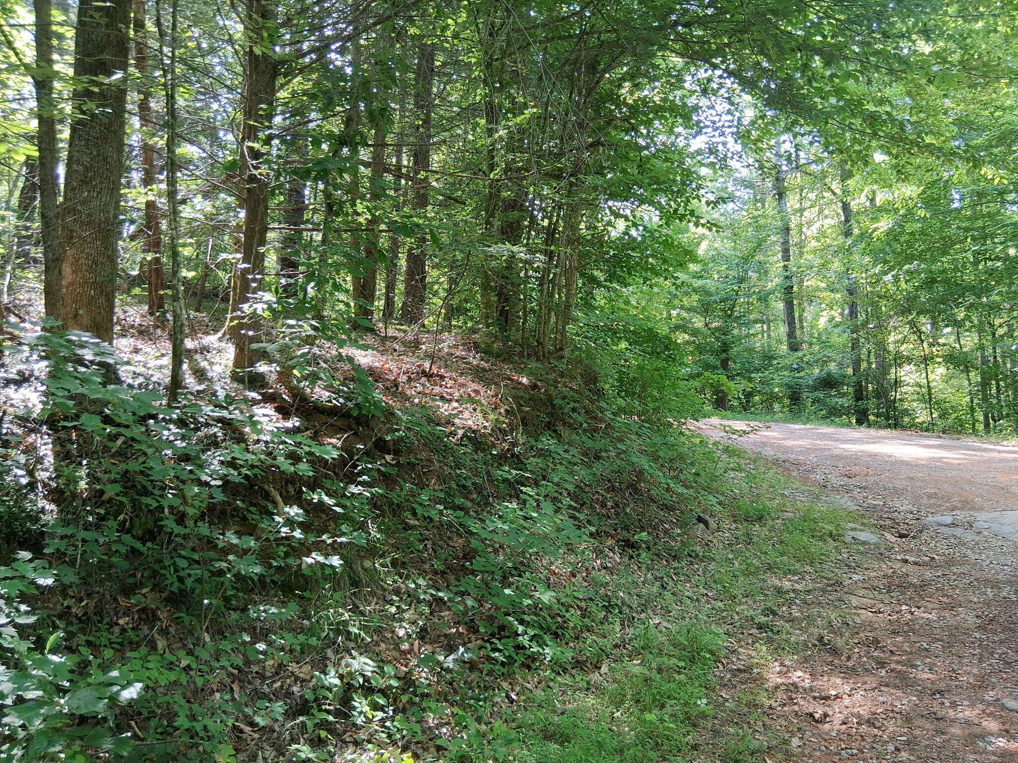 0 Tinker Branch Road Reliance, TN 37369 - Photo 16 of 17