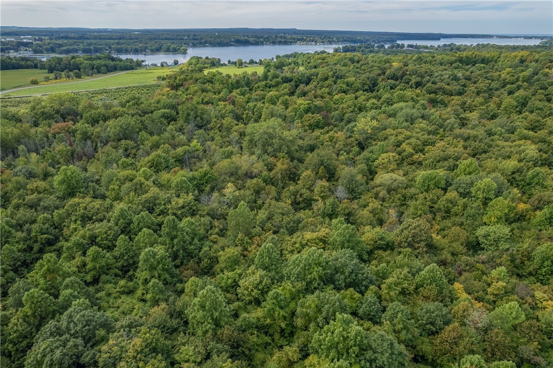 6426 Lake Bluff Road Huron, NY 14516 - Photo 45 of 50 Plenty of signs of wild life in your woods