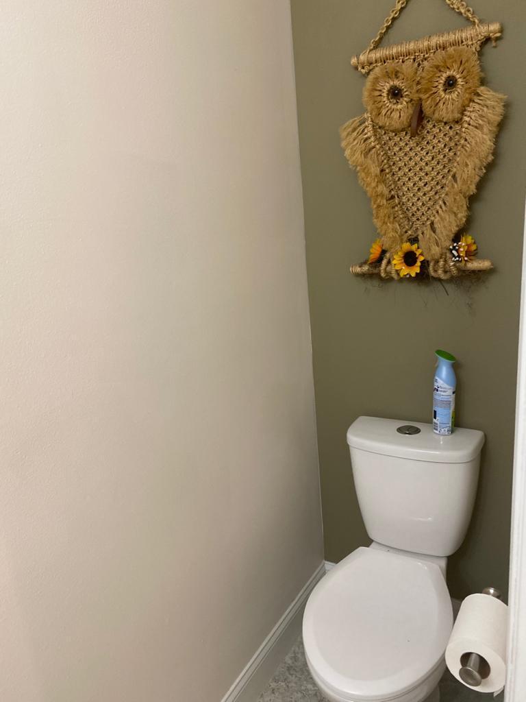 6657 Boca Hermosa Lane Boca Raton, FL 33433 - Photo 17 of 33 a white toilet sitting next to a white wall