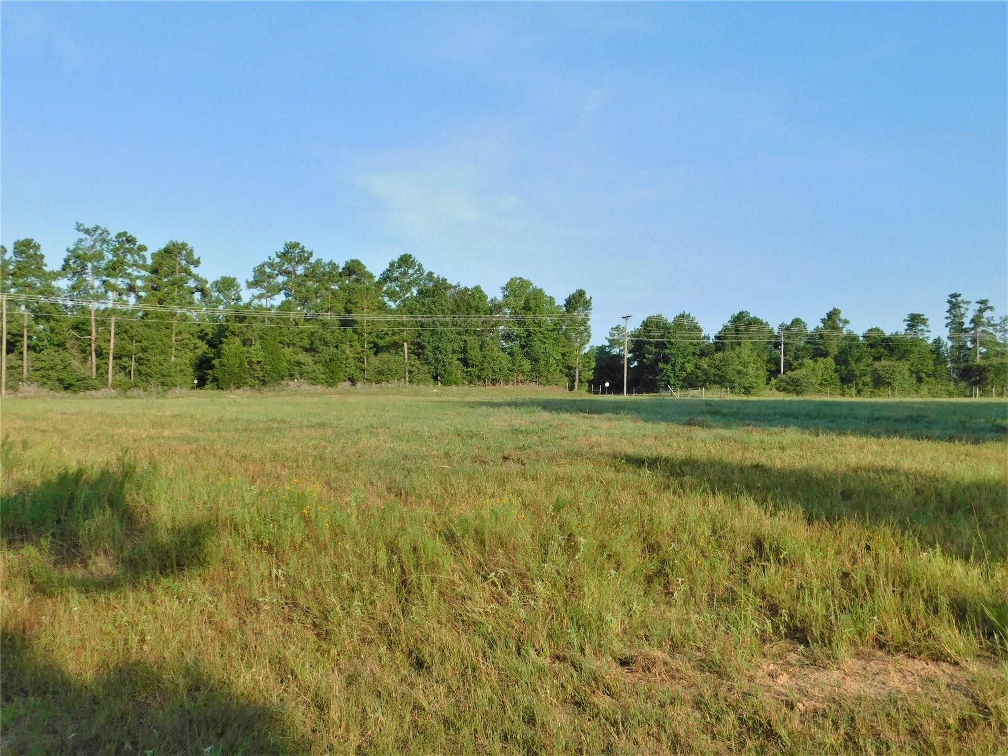11914 Browder Traylor Road Conroe, TX 77303 - Photo 5 of 14 a view of a grassy field with trees