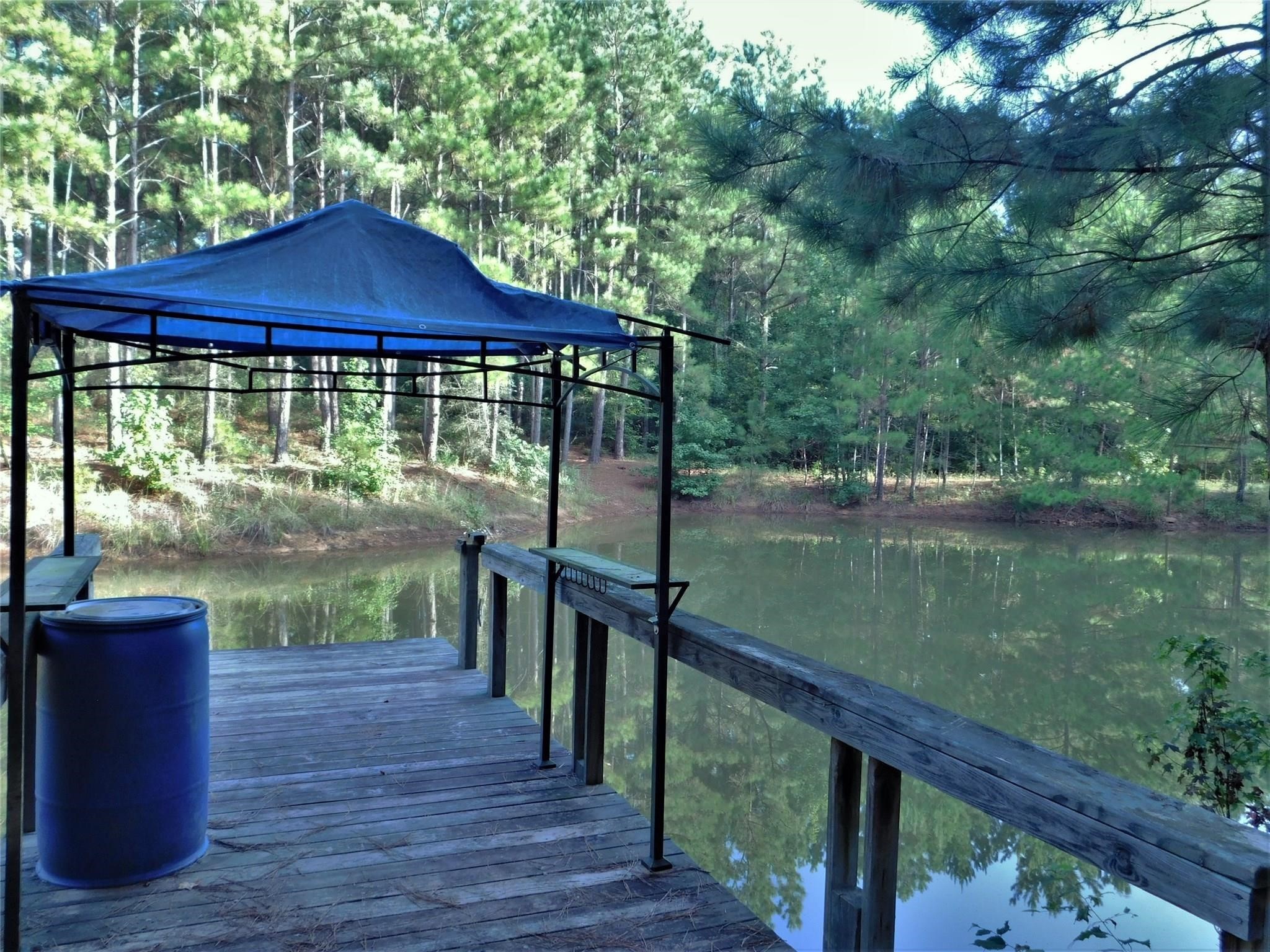 11914 Browder Traylor Road Conroe, TX 77303 - Photo 6 of 14 a view of a lake with a large trees
