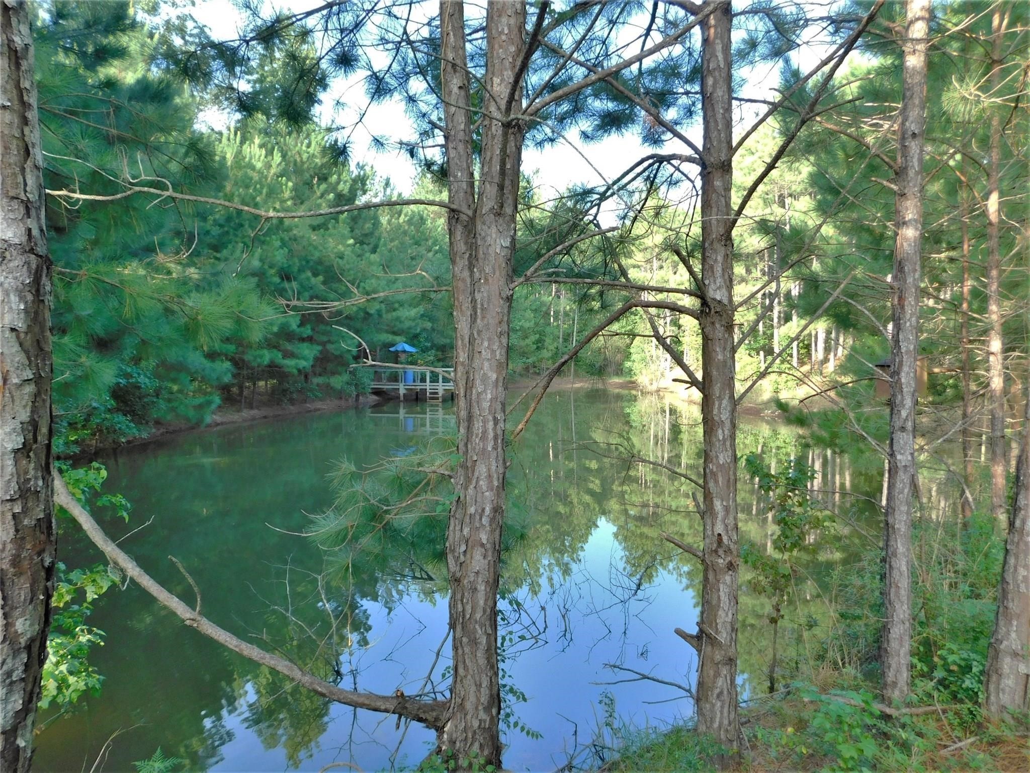 11914 Browder Traylor Road Conroe, TX 77303 - Photo 7 of 14 a backyard of a house with lots of green space