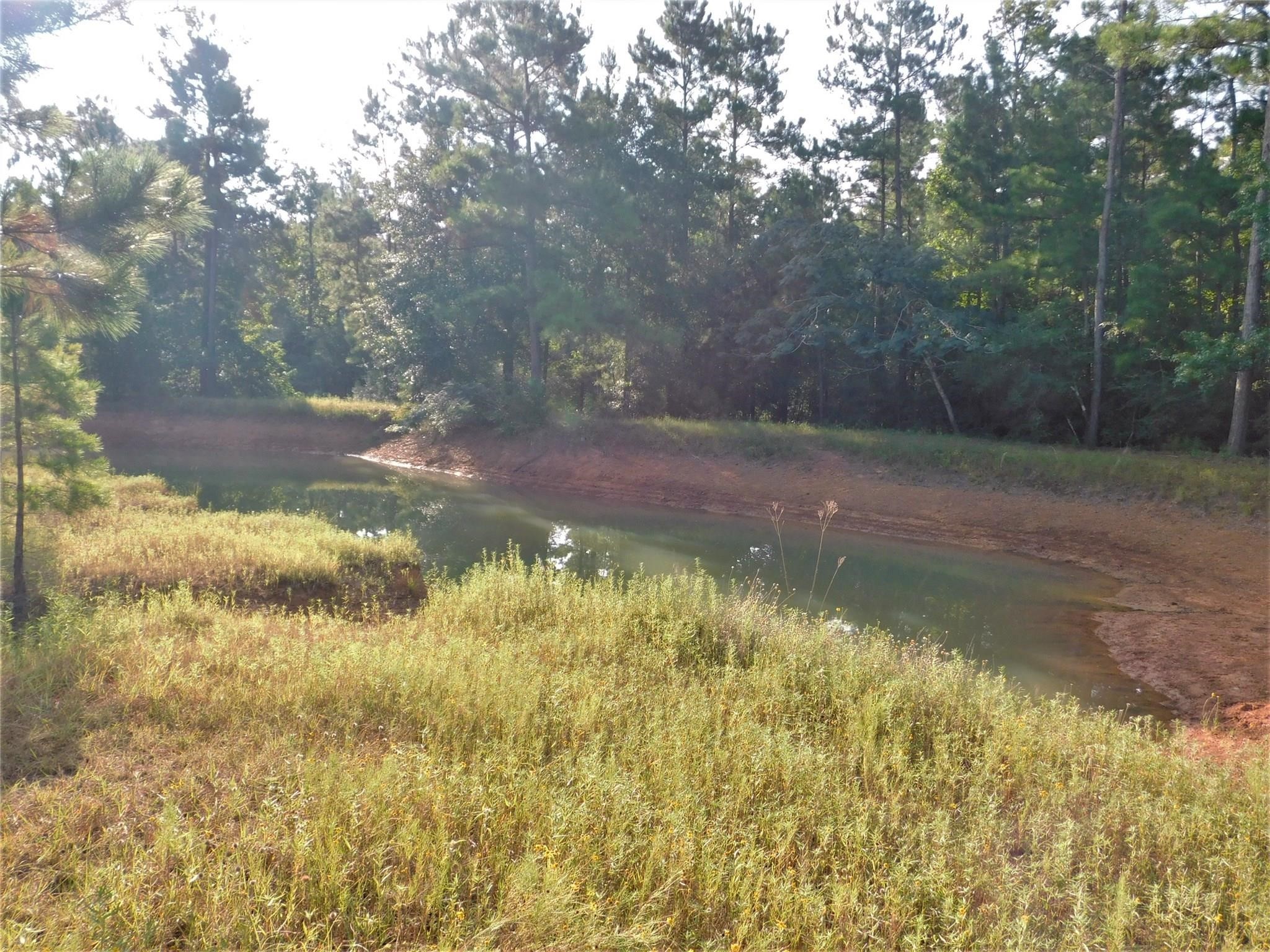 11914 Browder Traylor Road Conroe, TX 77303 - Photo 8 of 14 a view of backyard of house