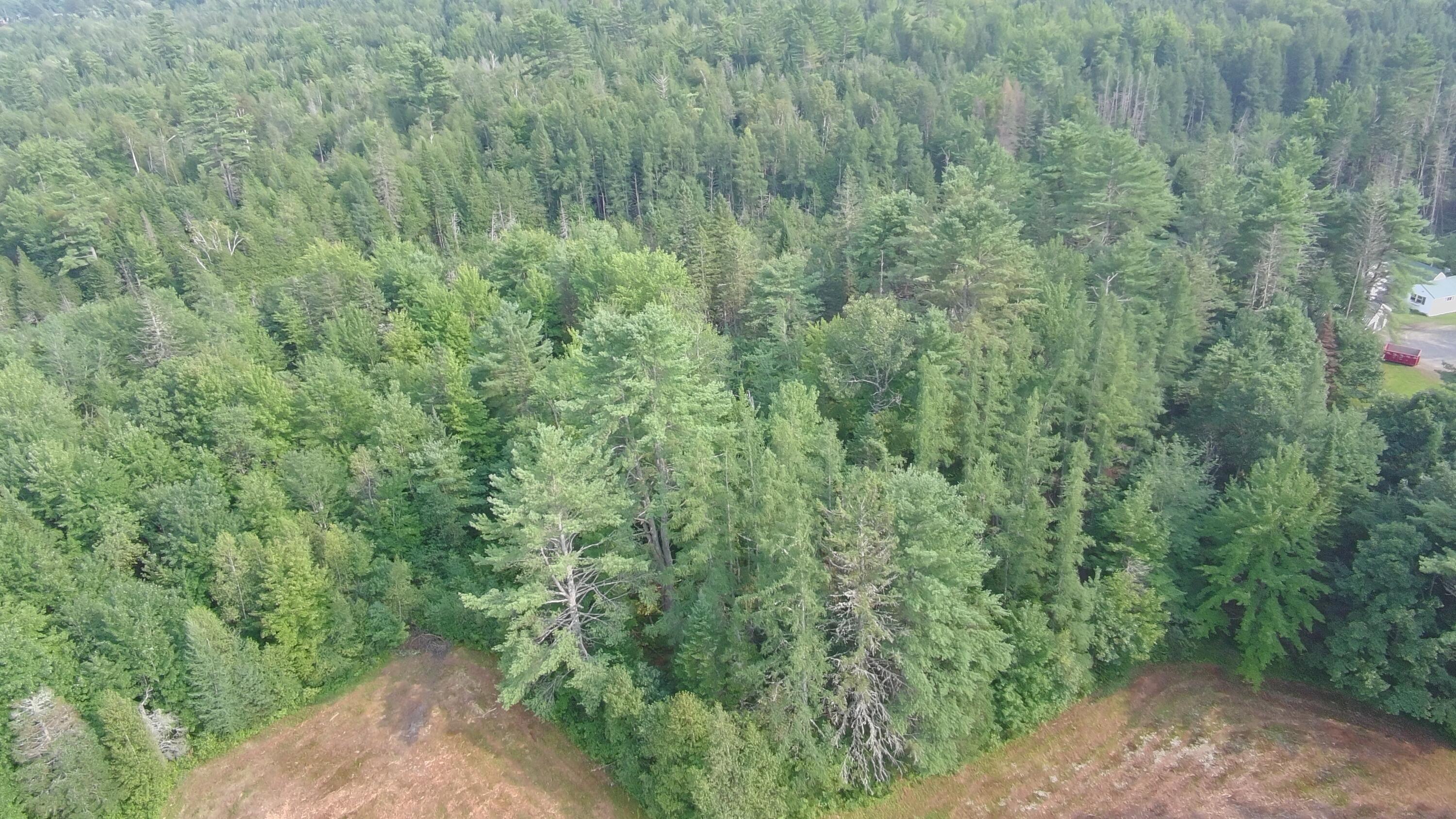 18 Gales Road Abbot, ME 04406 - Photo 35 of 68 4571284_100DRONE_SING0041
