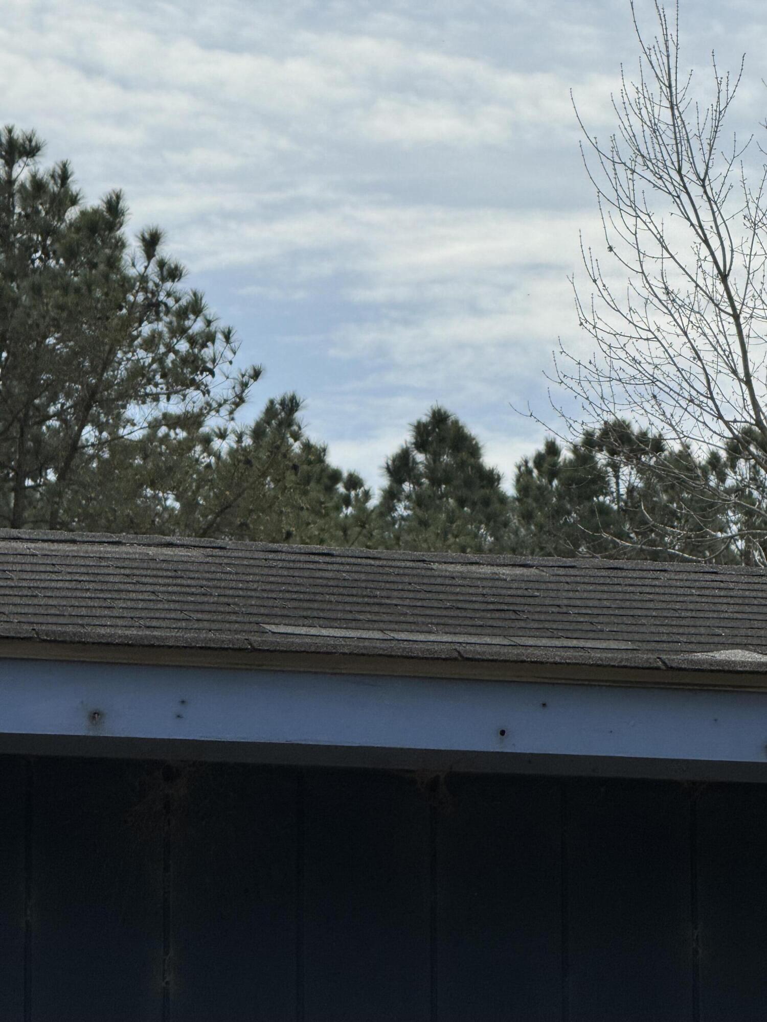 3073 State Rd S-6-29 Barnwell, SC 29812 - Photo 6 of 28 IMG_9749