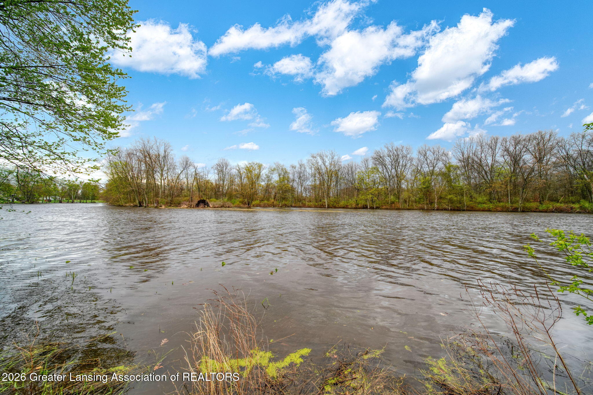 8379 Hall Road Bellevue, MI 49021 - Photo 45 of 68 45-web-or-mls-DSC08852_HDR 2