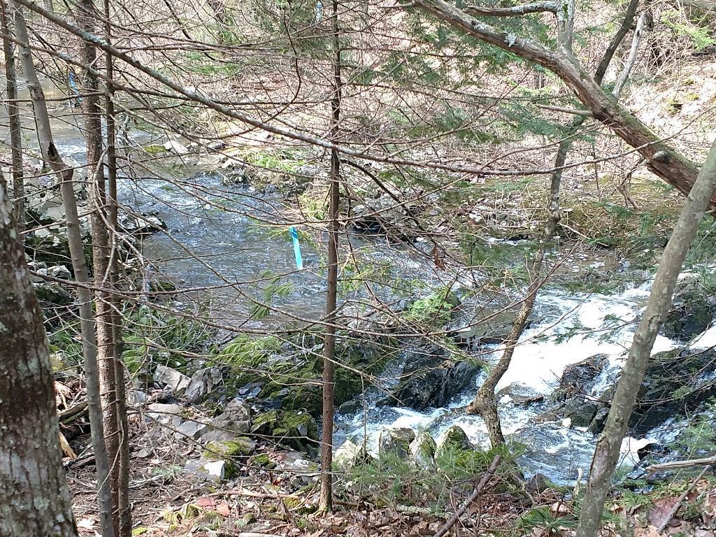 10 Oak Ridge Terrace Arundel, ME 04046 - Photo 6 of 11 3