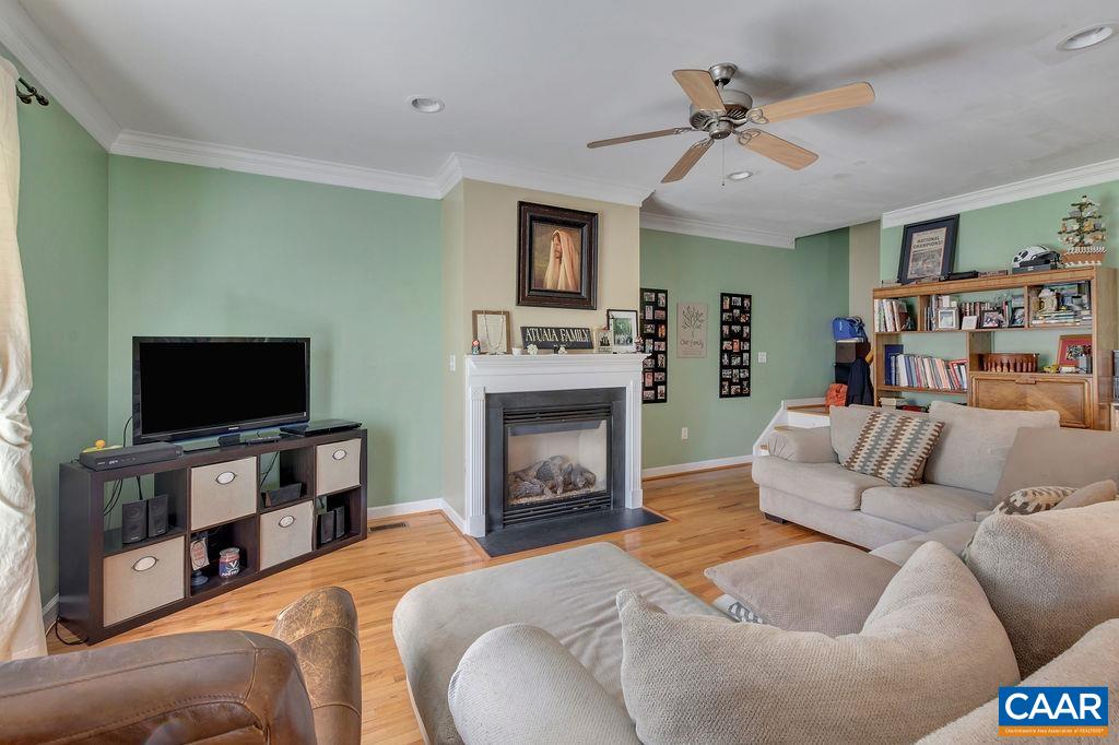 1290 Amber Ridge Road Crozet, VA 22901 - Photo 10 of 22 a living room with furniture and a fireplace