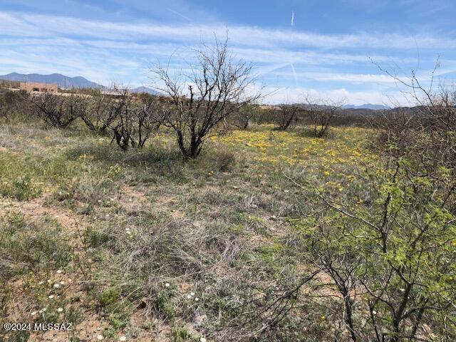383 Via Aloe Vera, Unit 32 Rio Rico, AZ 85648 - Photo 2 of 3