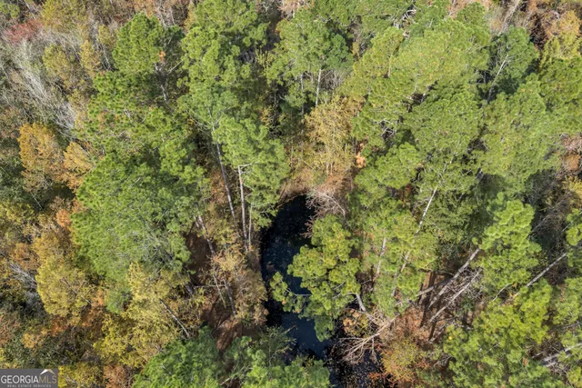 a view of a lake with a mountain