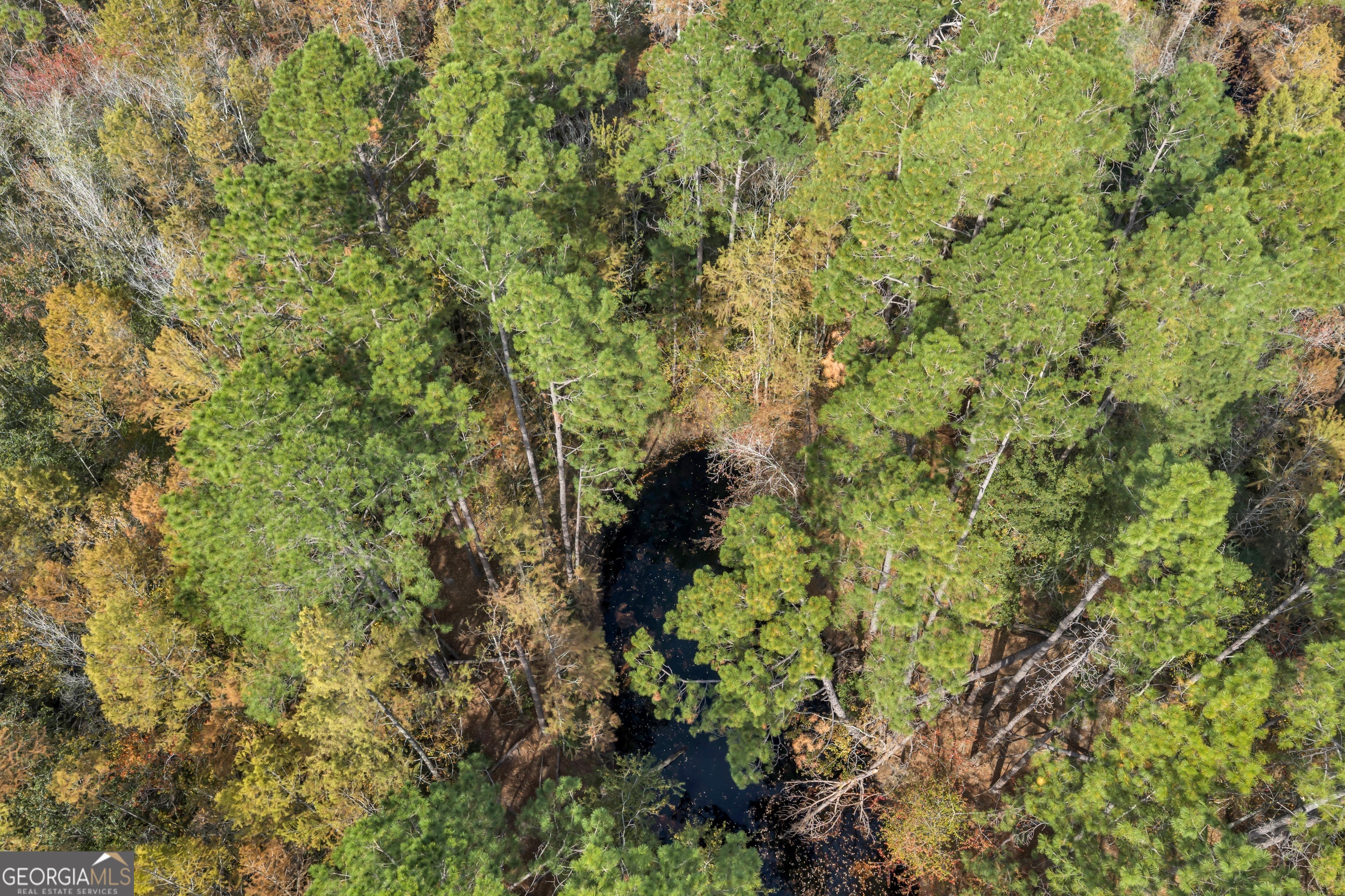 1864 Caulie Harris Road Adel, GA 31620 - Photo 45 of 78