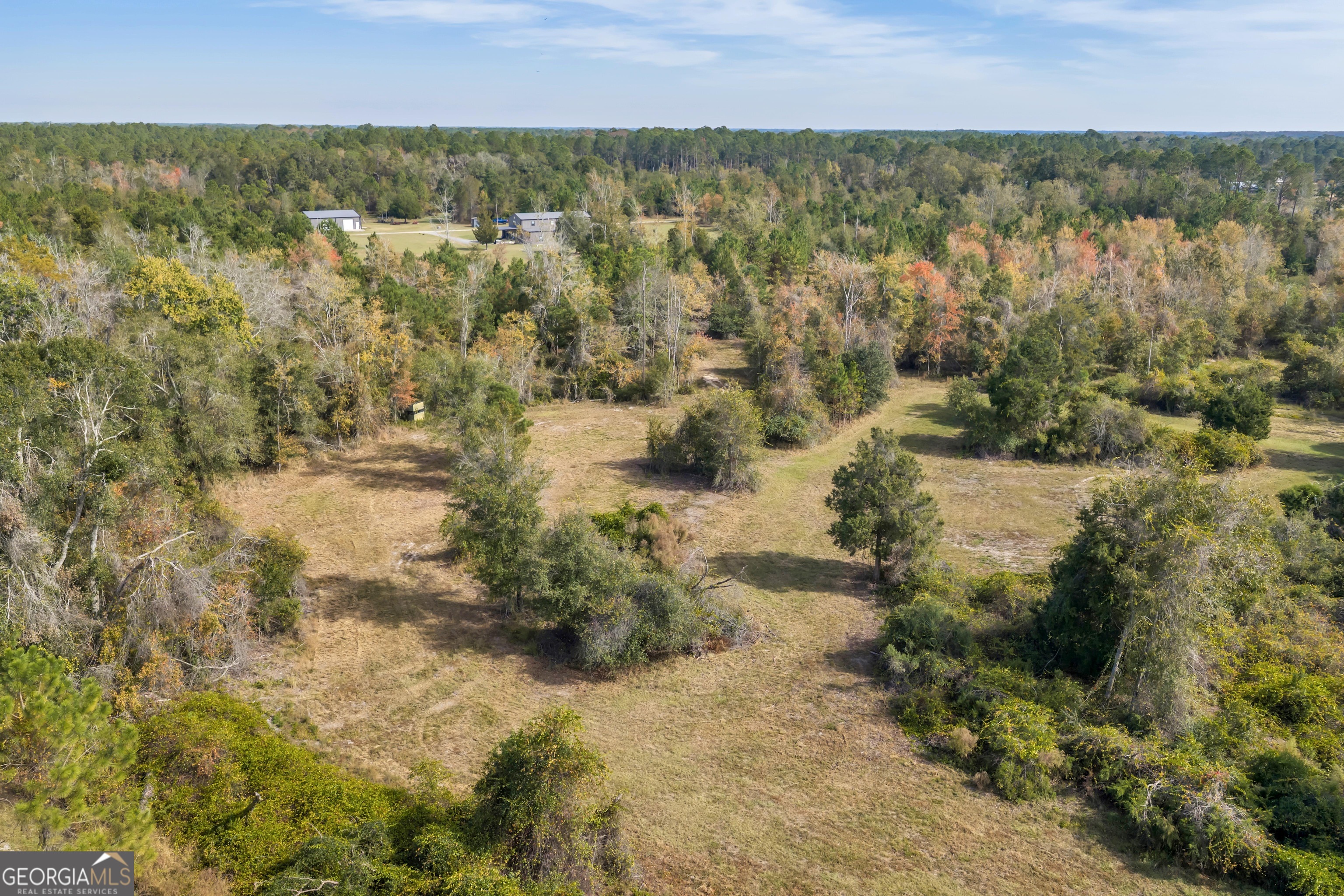 1864 Caulie Harris Road Adel, GA 31620 - Photo 48 of 78 a view of lake with mountain
