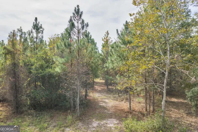 $1,449,000 | 1864 Caulie Harris Road, Adel, GA 31620