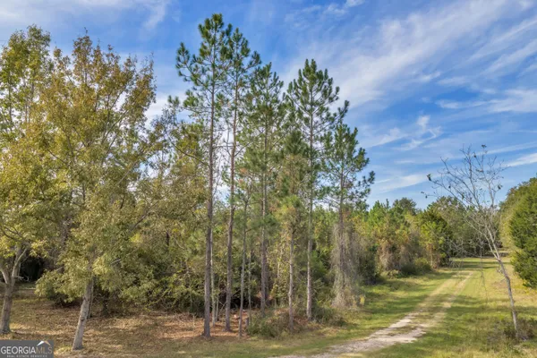 $1,349,000 | 1864 Caulie Harris Road, Adel, GA 31620