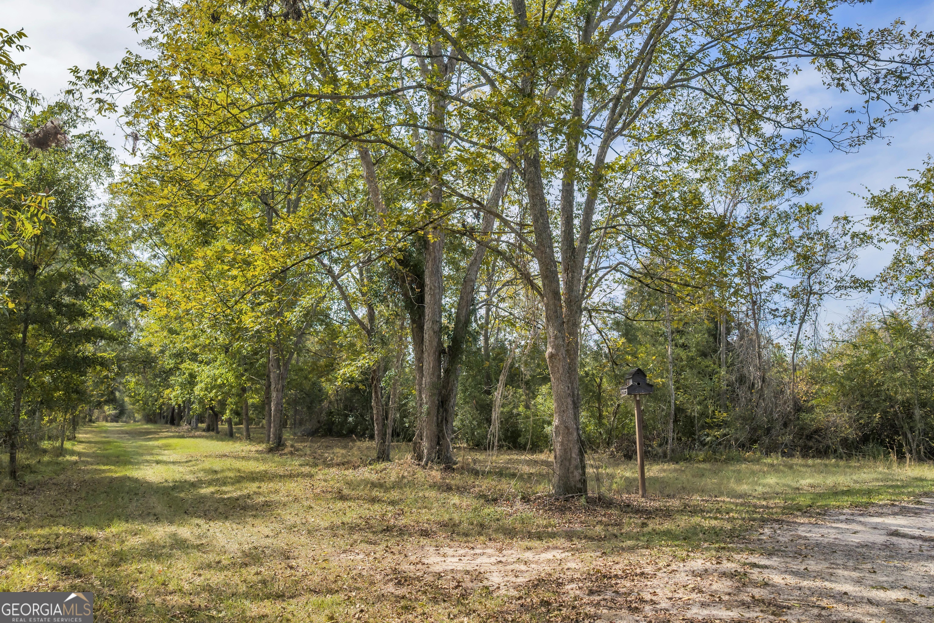 1864 Caulie Harris Road Adel, GA 31620 - Photo 58 of 78 a view of a yard with a tree