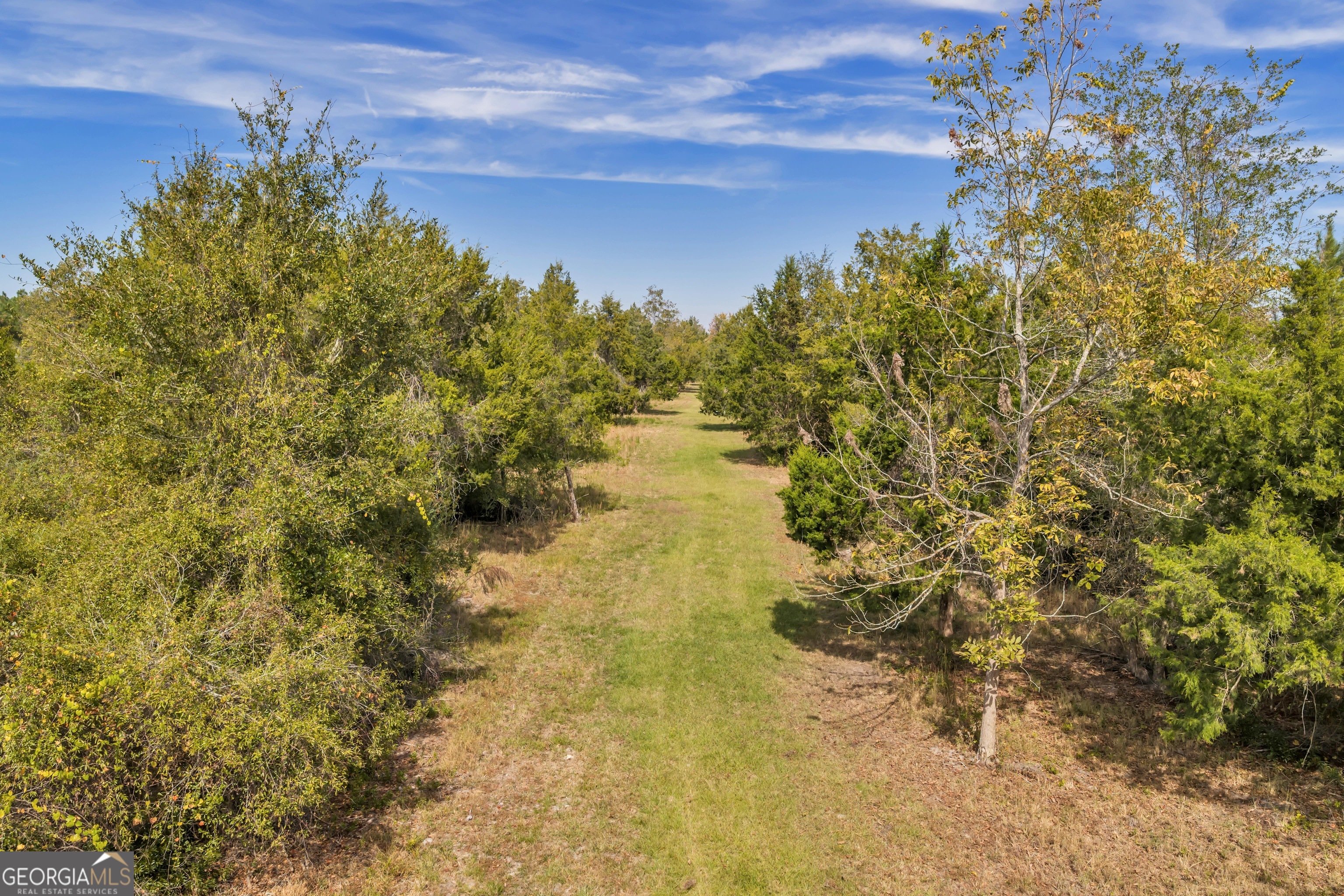 1864 Caulie Harris Road Adel, GA 31620 - Photo 59 of 78 a view of a lake with a garden
