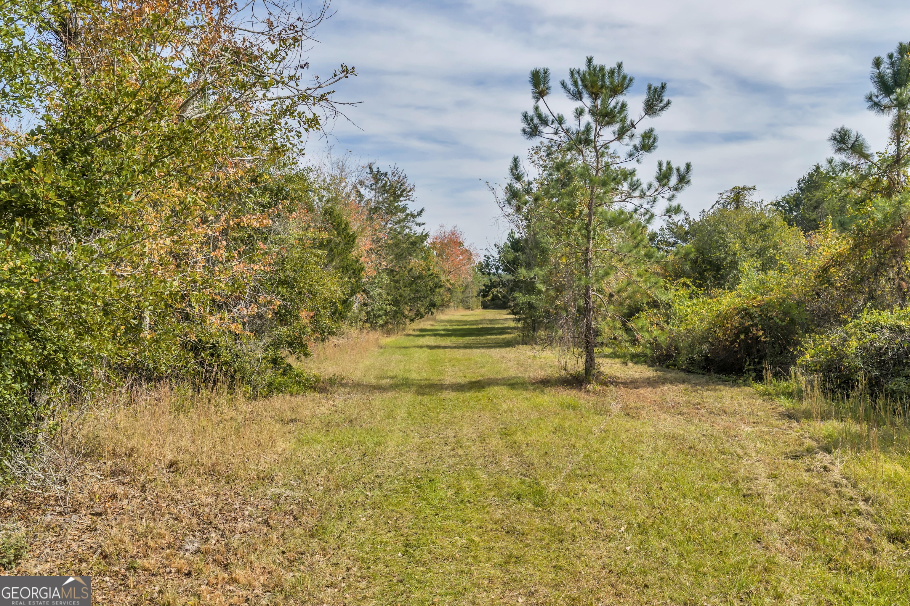1864 Caulie Harris Road Adel, GA 31620 - Photo 60 of 78 a view of a yard with a fountain