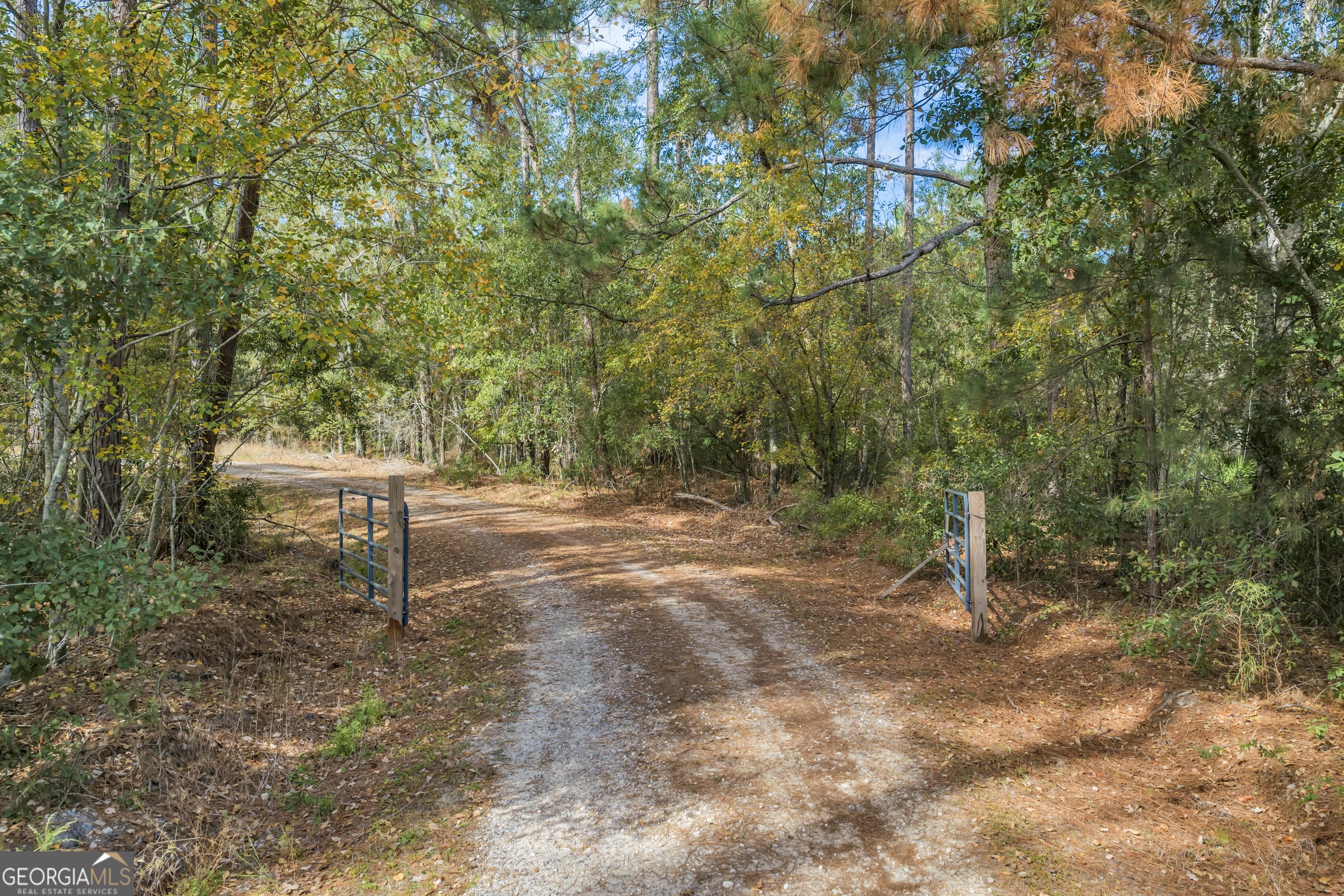 1864 Caulie Harris Road Adel, GA 31620 - Photo 68 of 78
