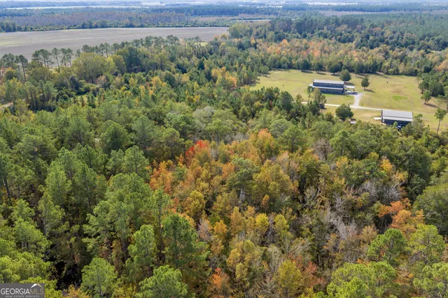 $1,449,000 | 1864 Caulie Harris Road, Adel, GA 31620