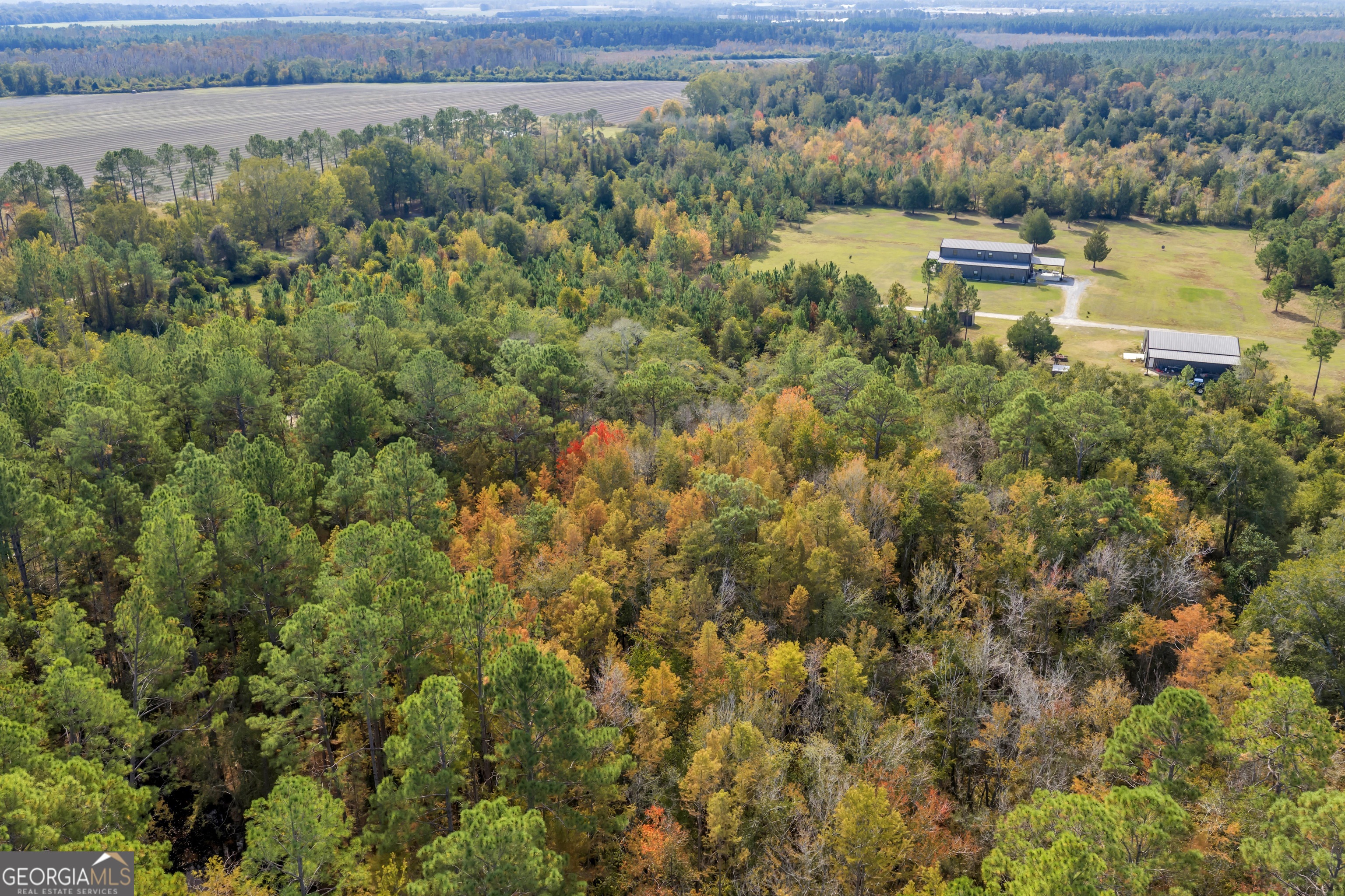 1864 Caulie Harris Road Adel, GA 31620 - Photo 69 of 78