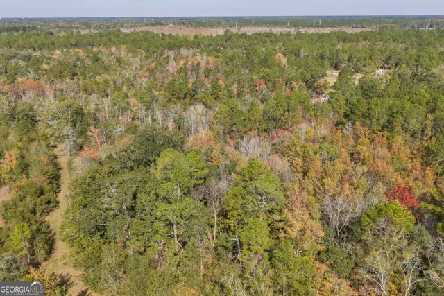 $1,449,000 | 1864 Caulie Harris Road, Adel, GA 31620