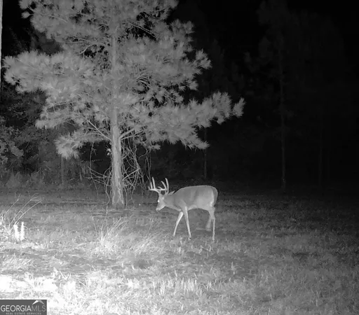 $1,349,000 | 1864 Caulie Harris Road, Adel, GA 31620