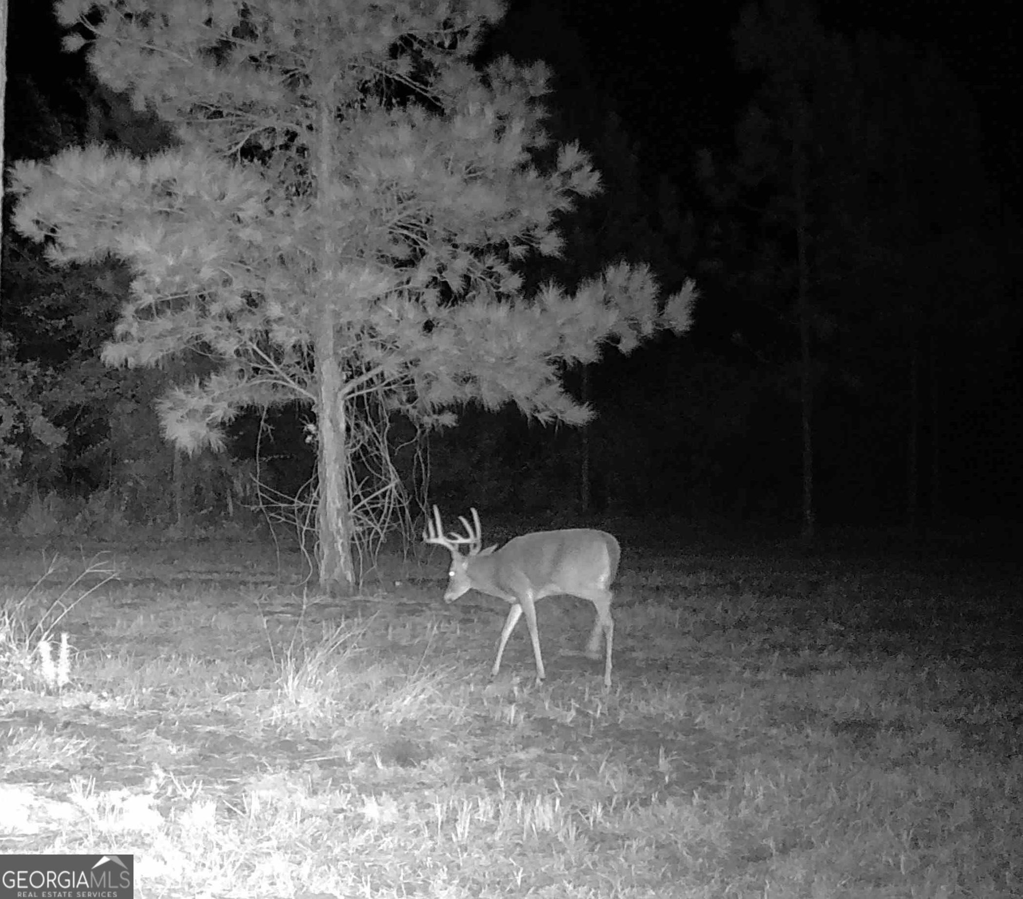 1864 Caulie Harris Road Adel, GA 31620 - Photo 72 of 78