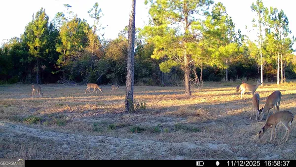 $1,349,000 | 1864 Caulie Harris Road, Adel, GA 31620