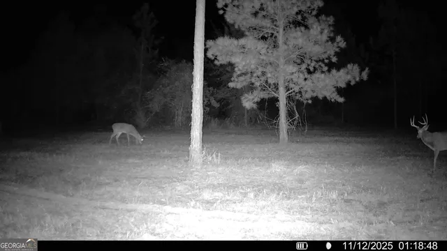 $1,449,000 | 1864 Caulie Harris Road, Adel, GA 31620