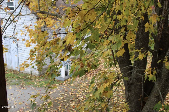 $250,000 | 614 Palmer Avenue, Corinth, NY 12822