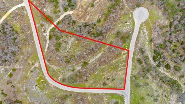 a view of a yard in a forest