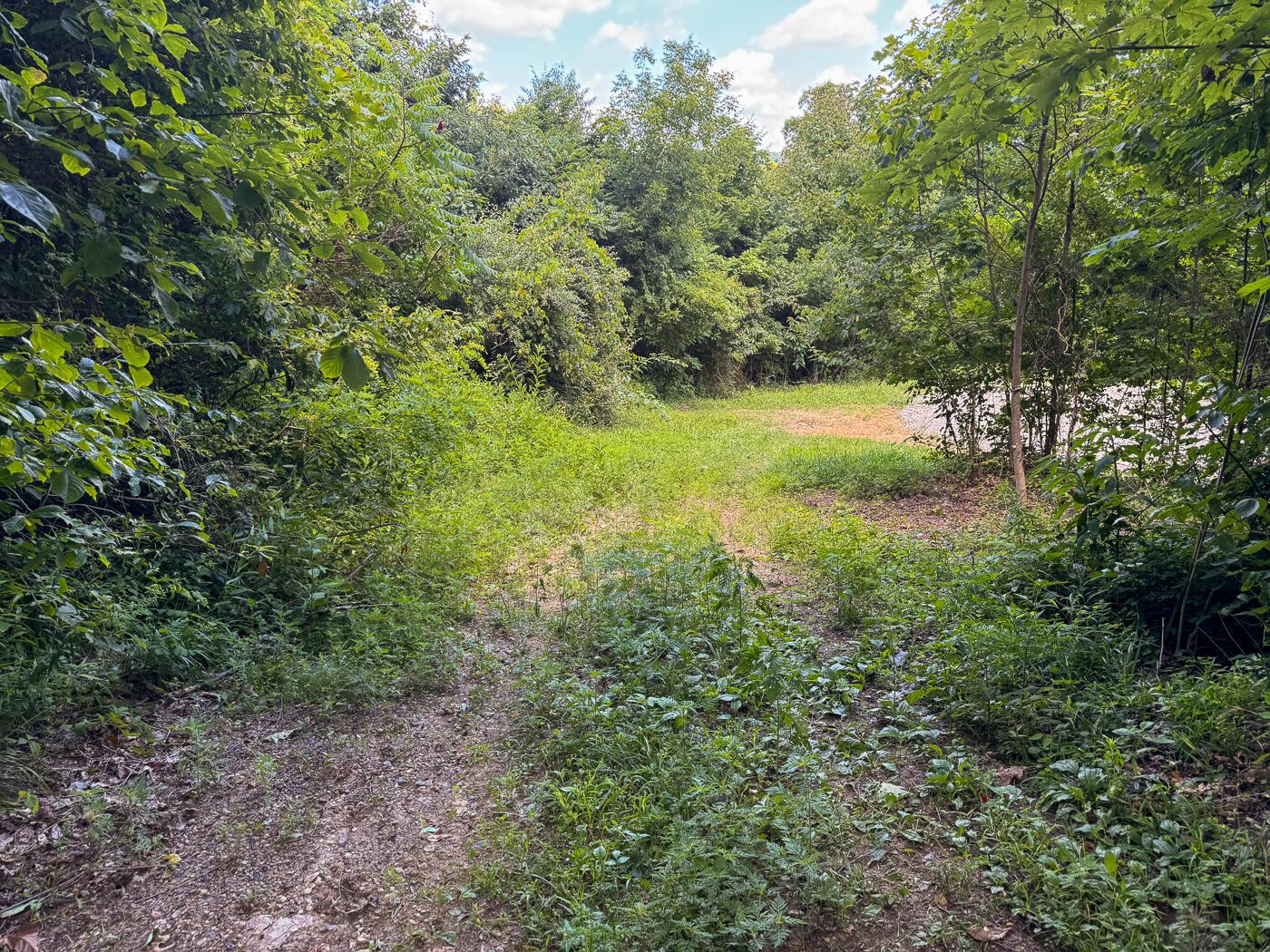 4313 Flint Ridge Road Northeast, Unit INT RIDGE TRACT 18 ACRE) Crooksville, OH 43731 - Photo 37 of 53 CT-37