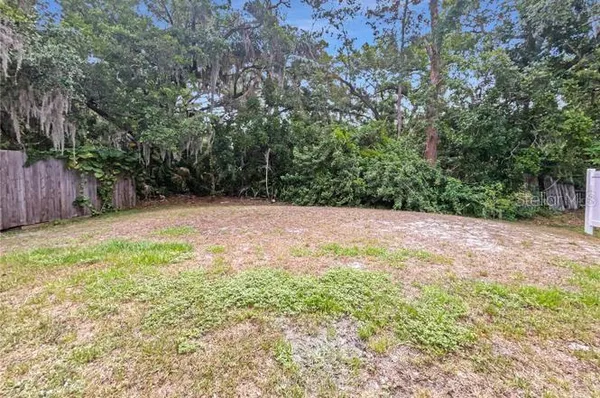 a view of backyard with green space