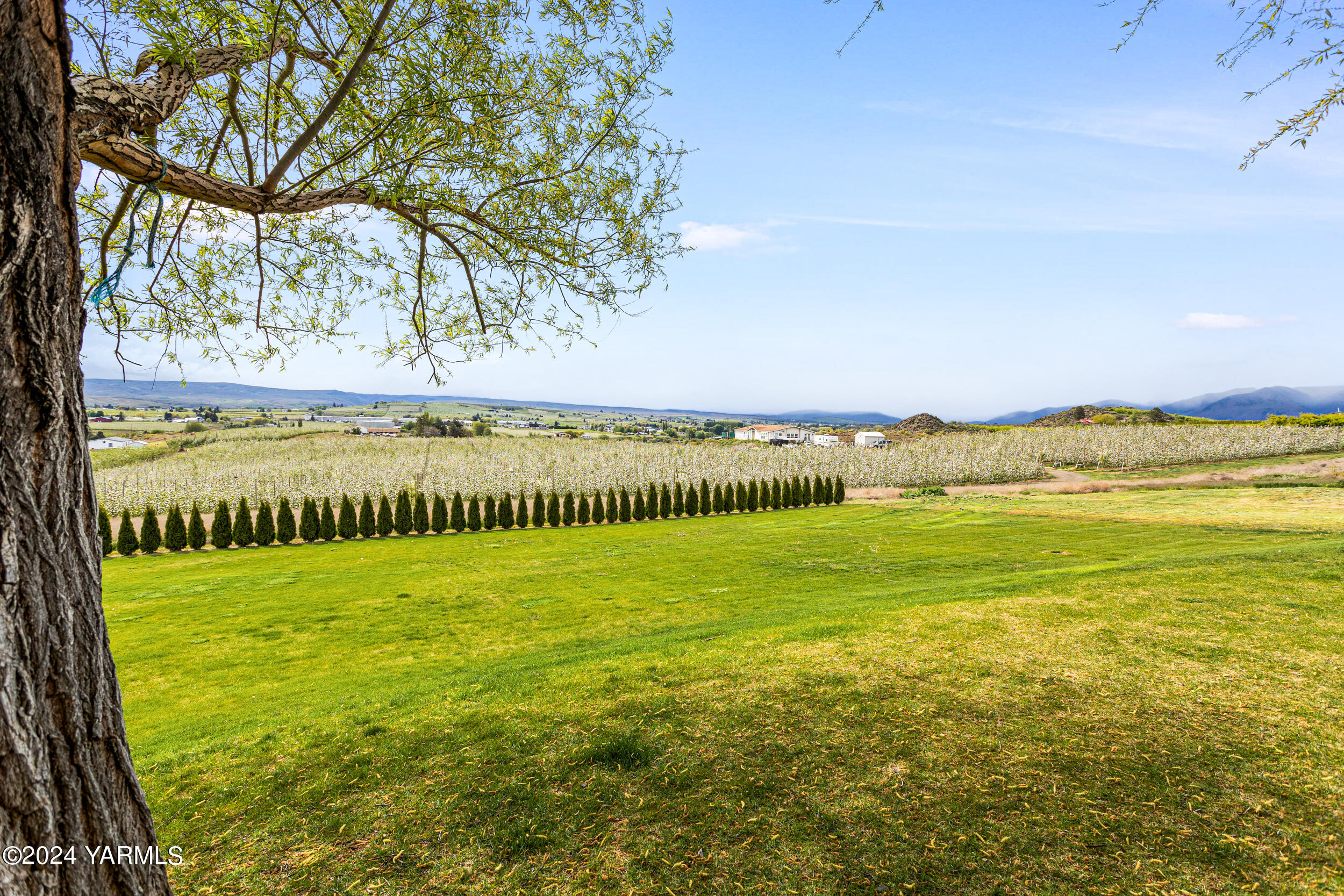 633 Hancock Road Cowiche, WA 98923 - Photo 14 of 53 633Hancock_16