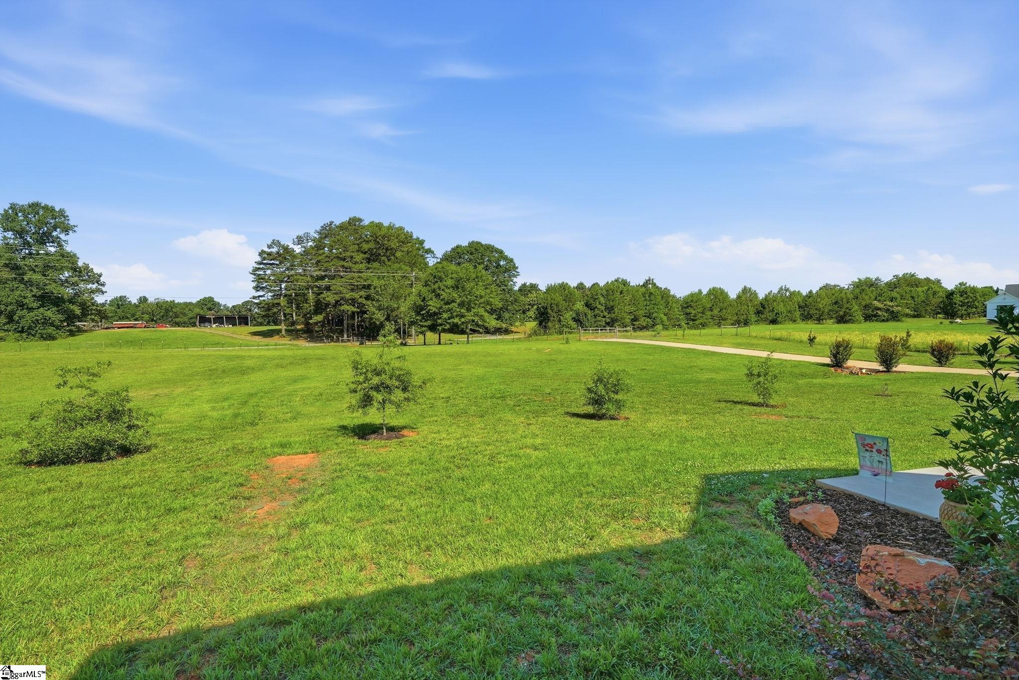 216 Burnt Tanyard Road West Union, SC 29696 - Photo 9 of 49