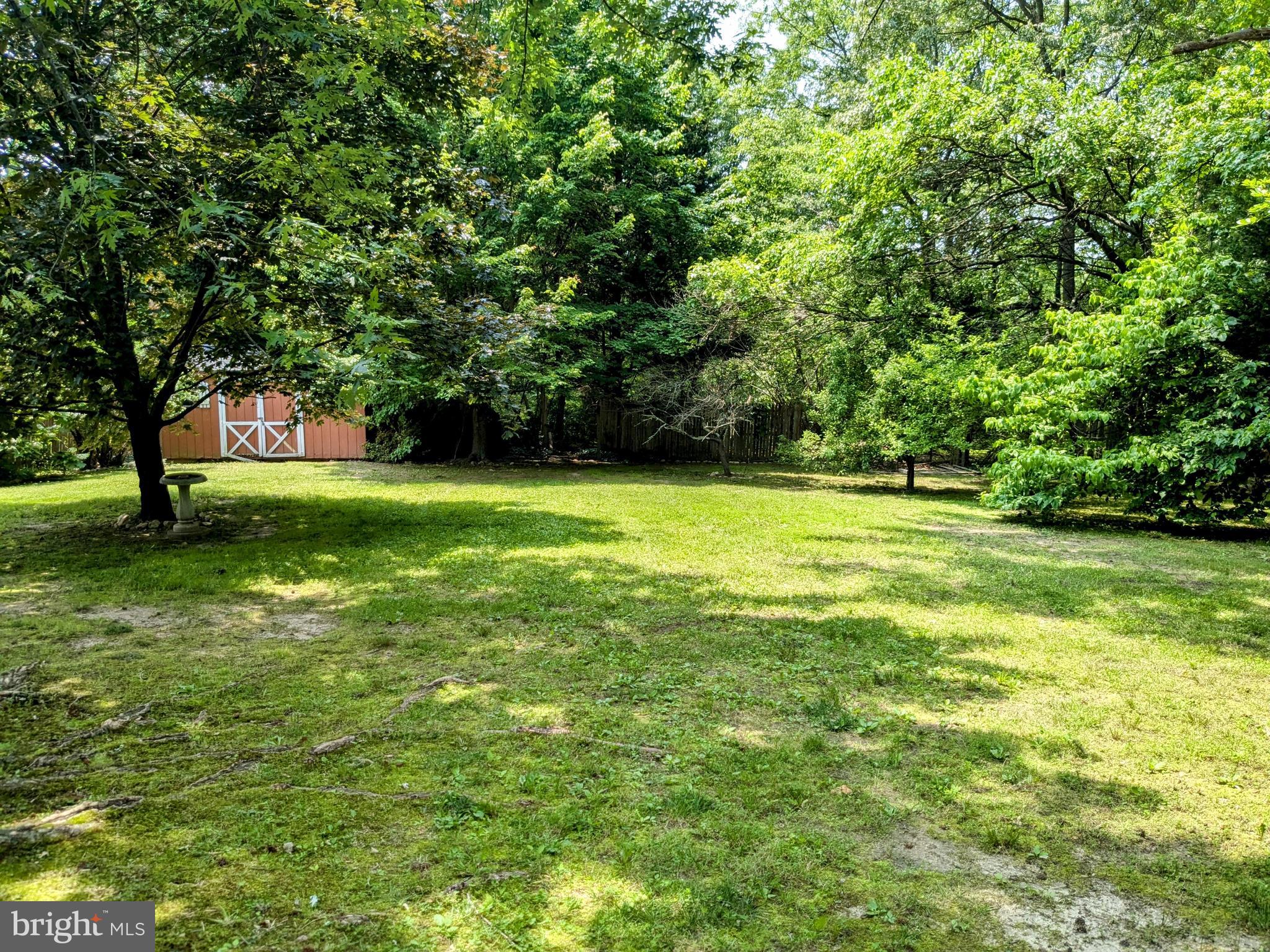 2408 Old Mountain Road Joppa, MD 21085 - Photo 24 of 25 a view of outdoor space with a garden and trees