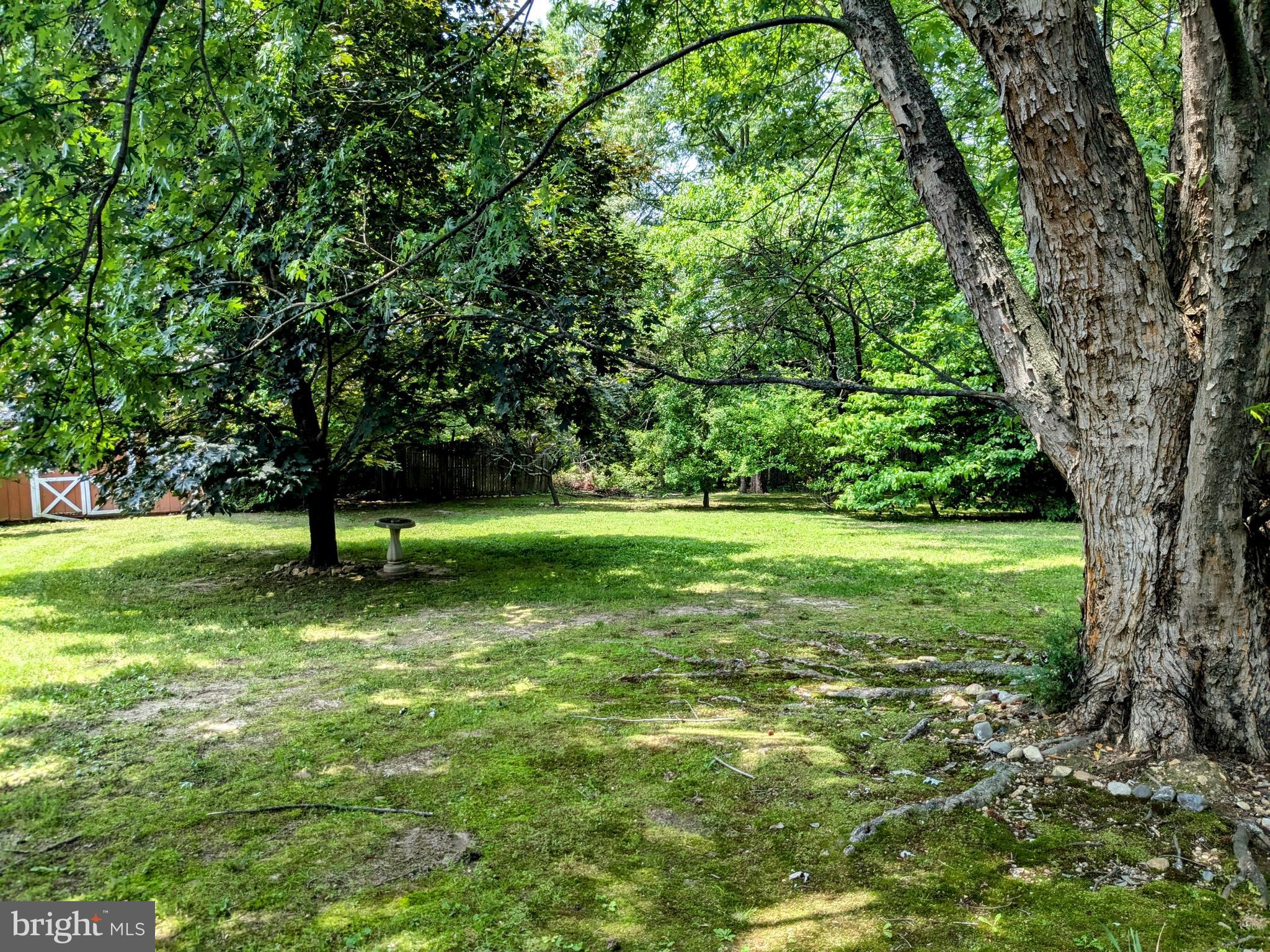 2408 Old Mountain Road Joppa, MD 21085 - Photo 25 of 25 a view of a trees with a yard