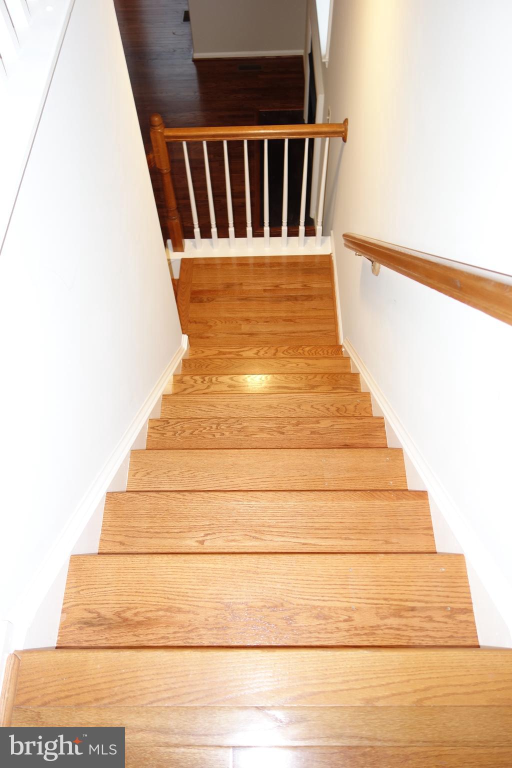 18303 Mill Ridge Terrace Leesburg, VA 20176 - Photo 23 of 58 Gallery Image 23