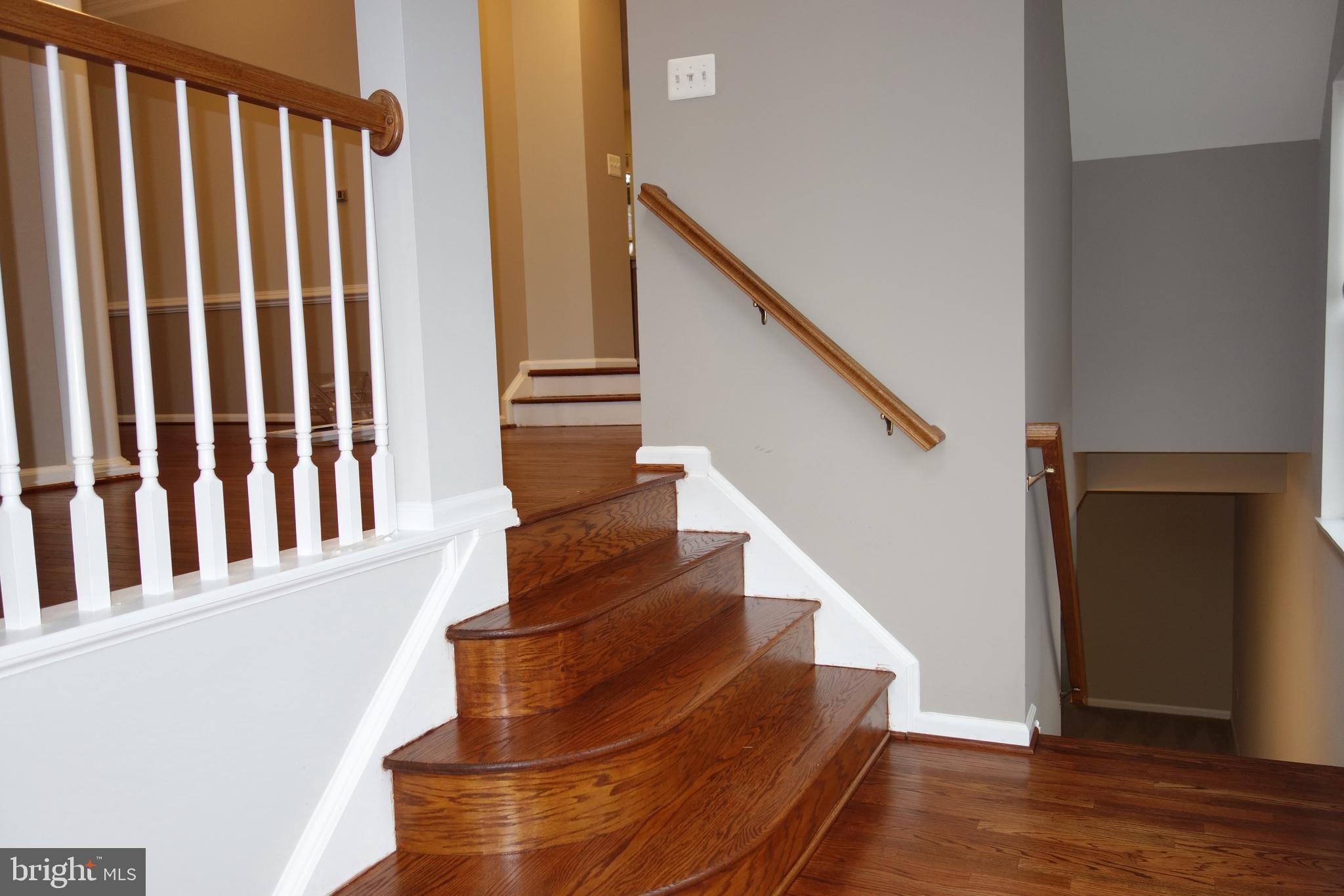 18303 Mill Ridge Terrace Leesburg, VA 20176 - Photo 5 of 58 Gallery Image 5