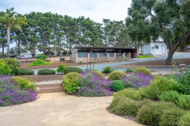 a view of a yard from a balcony