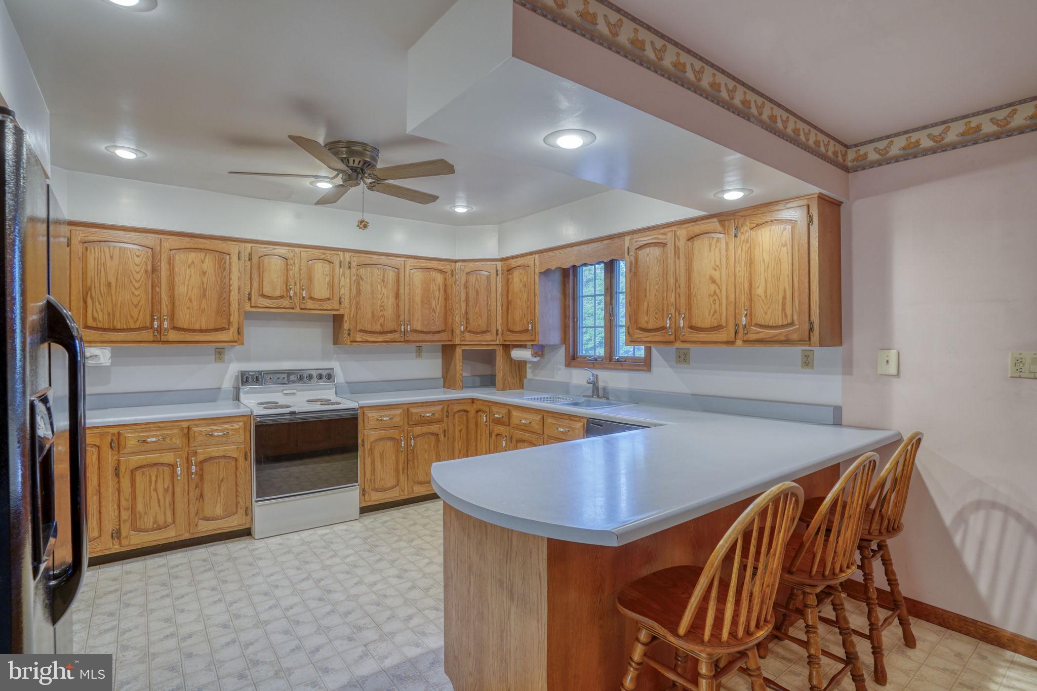 4059 Paradise Alley Road Felton, DE 19943 - Photo 25 of 60 Large open kitchen