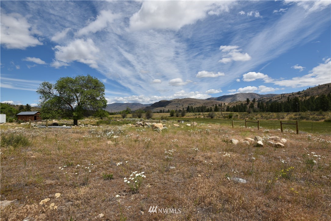 426 Twisp Carlton Road Twisp, WA 98856 - Photo 2 of 40 Gallery Image 2