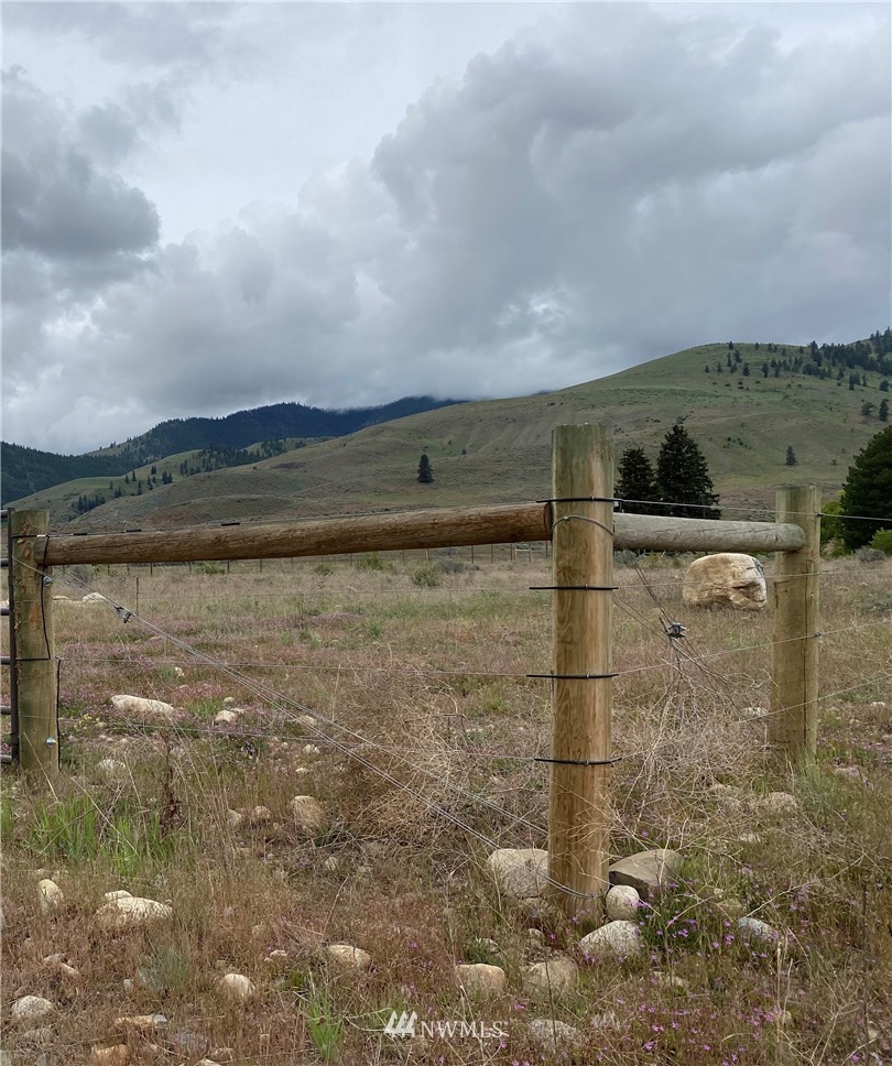 426 Twisp Carlton Road Twisp, WA 98856 - Photo 16 of 40 Gallery Image 16