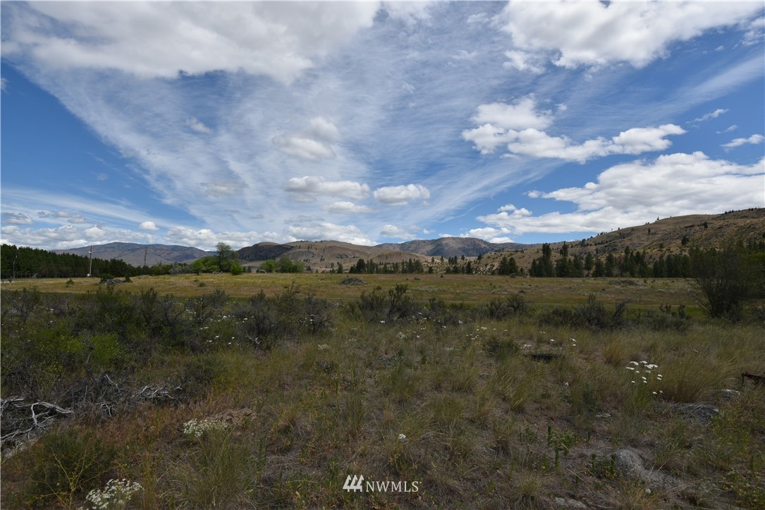 426 Twisp Carlton Road Twisp, WA 98856 - Photo 3 of 40 Gallery Image 3