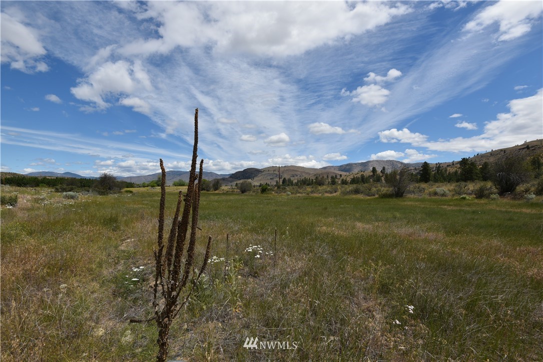 426 Twisp Carlton Road Twisp, WA 98856 - Photo 24 of 40 Gallery Image 24